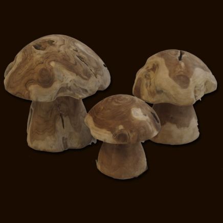 Set of 3 Teak Root Mushrooms