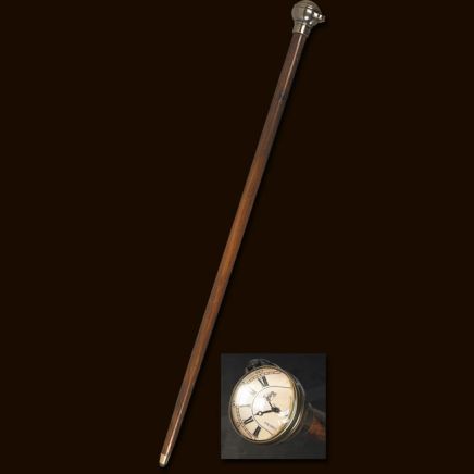 Time Companion Walking Stick