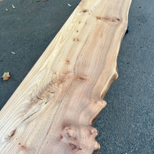 Elm Bench Live Edge