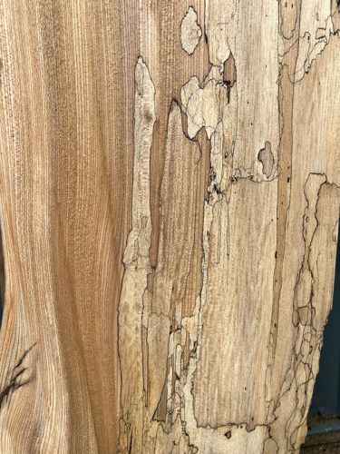 200 x 100 Character Elm DRV28