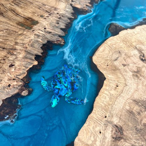 Turtle Coffee Table X