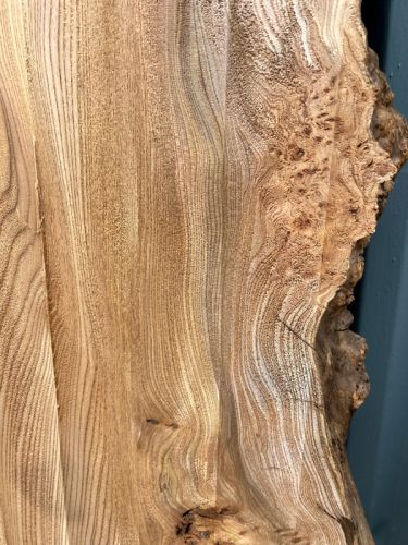 200 x 100 Character Elm DRV28