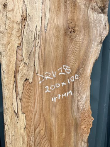 200 x 100 Character Elm DRV28